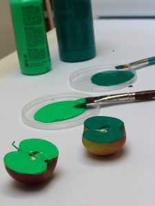 ouder-kind-workshop-cursus-Zonder-Gum-creatieve-werkplaats-horst-limburg