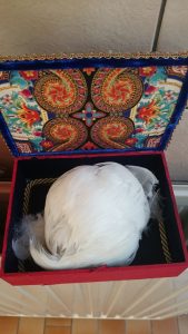 kinderen-workshop-cursus-Zonder-Gum-creatieve-werkplaats-horst-limburg