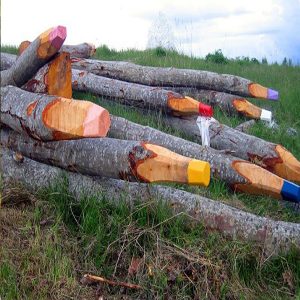 volwassenen-workshop-cursus-Zonder-Gum-creatieve-werkplaats-horst-limburg