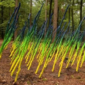 teambuilding-workshop-cursus-Zonder-Gum-creatieve-werkplaats-horst-limburg