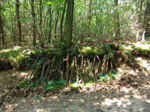 teambuilding-workshop-cursus-Zonder-Gum-creatieve-werkplaats-horst-limburg