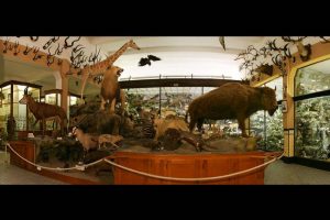 volwassenen-workshop-cursus-Zonder-Gum-creatieve-werkplaats-horst-limburg