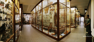 volwassenen-workshop-cursus-Zonder-Gum-creatieve-werkplaats-horst-limburg