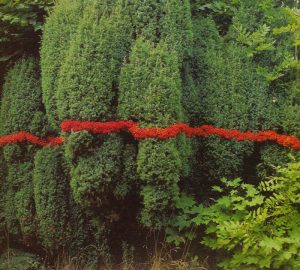 teambuilding-workshop-cursus-Zonder-Gum-creatieve-werkplaats-horst-limburg