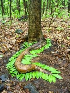 teambuilding-workshop-cursus-Zonder-Gum-creatieve-werkplaats-horst-limburg