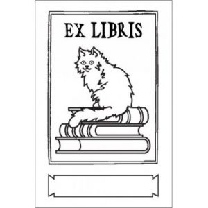 volwassenen-workshop-cursus-Zonder-Gum-creatieve-werkplaats-horst-limburg