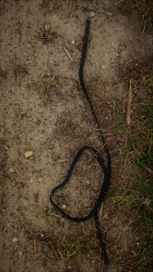 tekens op de grond (14)