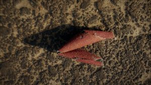 tekens op de grond (2)