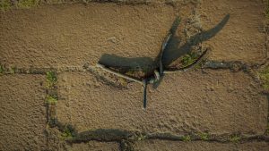 tekens op de grond (20)